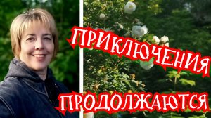 Приключения продолжаются 02.06.2026