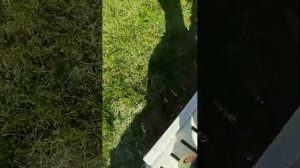 ура лето