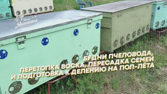 Будни пчеловода — как я подготовил пасеку к потеплению и навел порядок в ульях смотреть онлайн