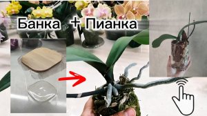 Экспериментальная посадка=Банка+ Пианка