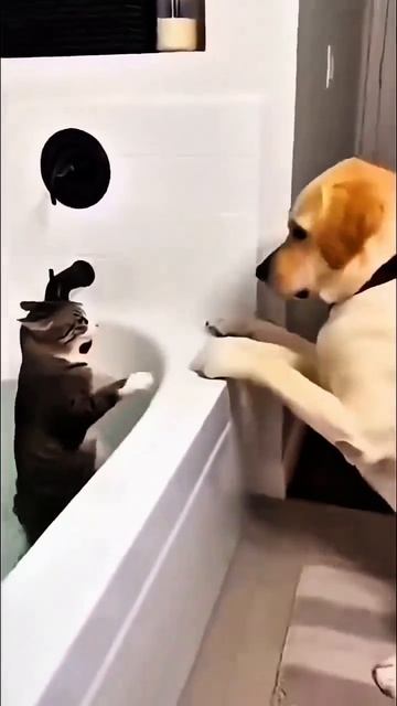 Водные процедуры