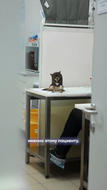 диагностика перед операцией