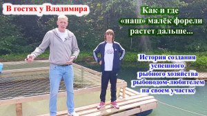 Как и где растут наши мальки в дальнейшем.  История любителя рыбовода.