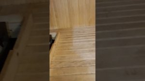 Купель из еврокуба и проект баня