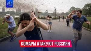 Комары атакуют россиян