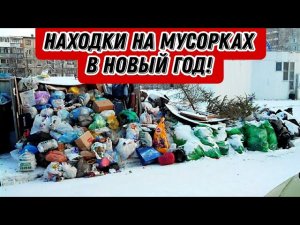 Что можно найти на мусорках Питера в НОВЫЙ ГОД? КУЧА ИНТЕРЕСНЫХ НАХОДОК!