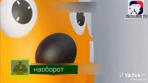 топ  1 плашка RUTUBE