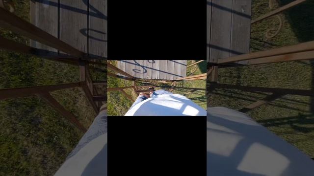 03-06-2026