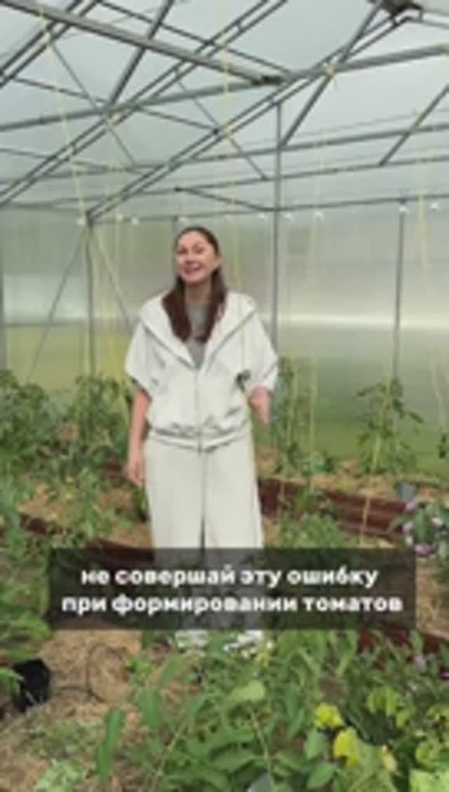 Не совершай эту ошибку при формировании томатов.