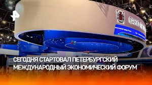 Ожидают представителей из 130 стран: ПМЭФ стартовал в Петербурге