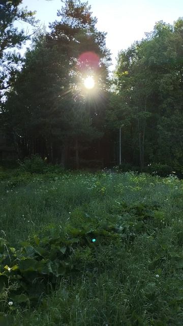 PXL_20260603_062443704