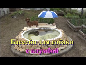 БАССЕЙН ДЛЯ СОБАКИ С КЛУМБОЙ