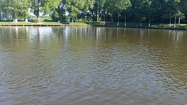 1000099271.mp4 смотреть онлайн