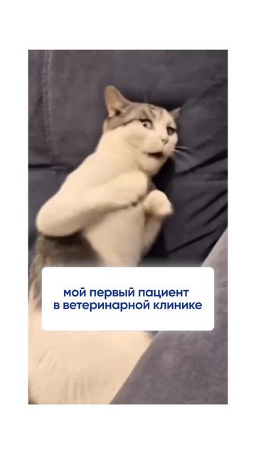 тихо спокойно