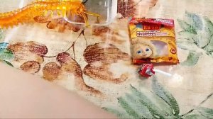 Шуша мистер бист, спасибо! Распаковка на кузю и кое чего интересного 🤫