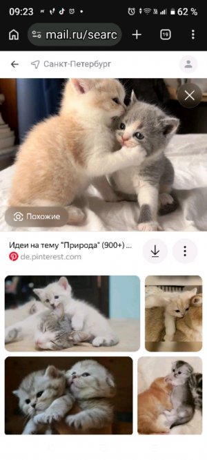 п