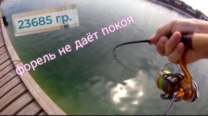 СУМАШЕДШАЯ ФОРЕЛЬ НЕ ДАЁТ ПОКОЯ!!! Рыбалка в РК ЯЗЬ
