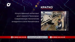 Кратко / 03.06.26