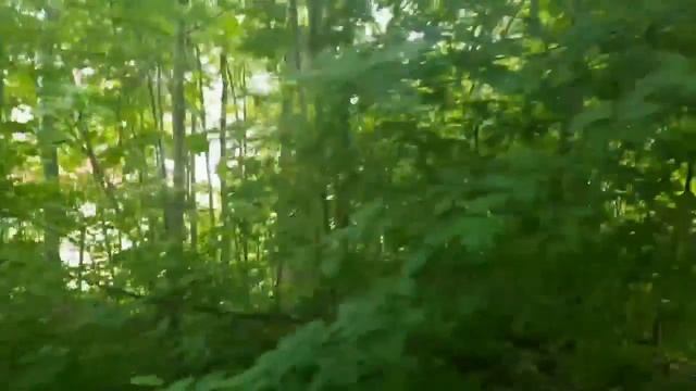 17117593537062 (online-video-cutter.com) смотреть онлайн