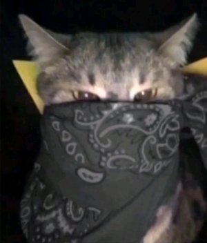 хз че писать