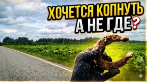 Поехал до Деревеньки по делам ну надо же копнуть  на бензин.