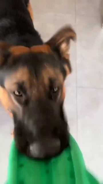 музыкальная пауза смотреть онлайн
