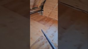 1000060820.mp4 (Собака наблюдает за укладкой пола из фанеры на 2-ом этаже в доме А-фрейм)