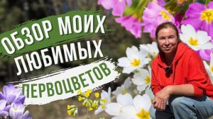 Капризные и редкие растения из моего сада, цветущие рано весной.