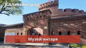 Майские в Калининграде. 3 мая. Музей янтаря.