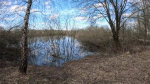 Ранняя весна