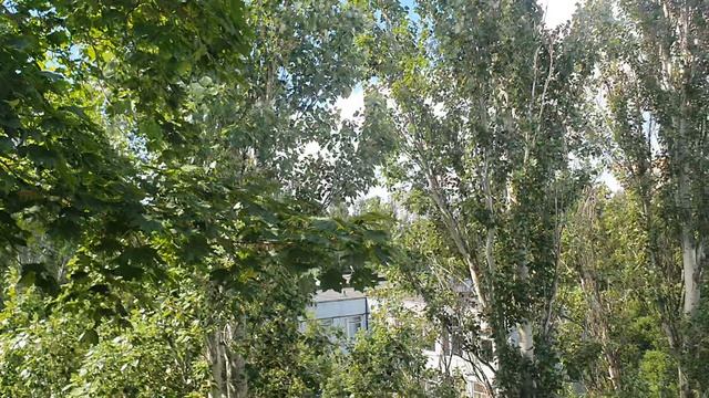 ПОГОДА 3 ИЮНЯ смотреть онлайн