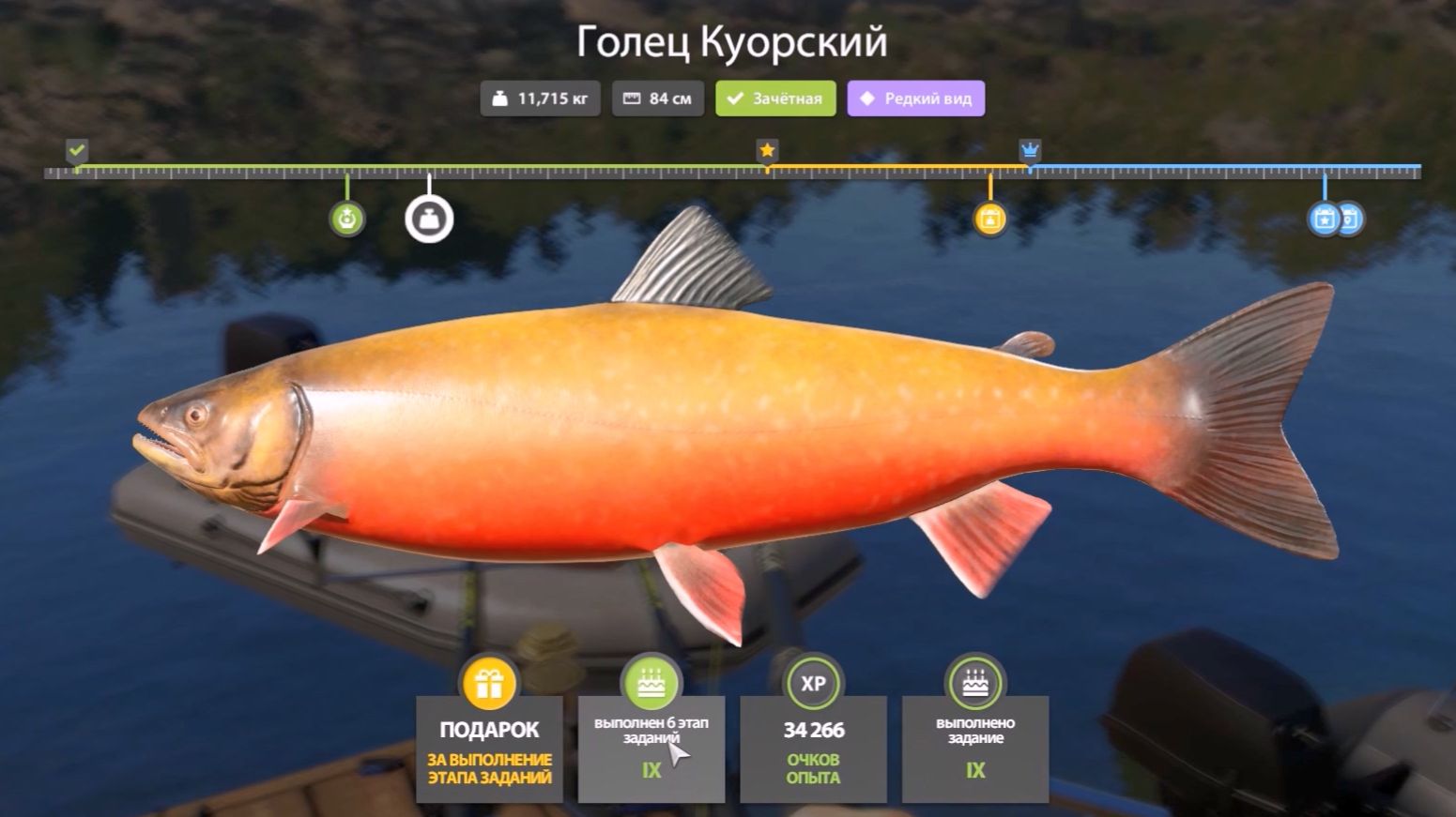 Голец Куорский, выполнение юбилейного задания в игре Русская Рыбалка 4 смотреть онлайн