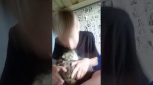 сидим с котом