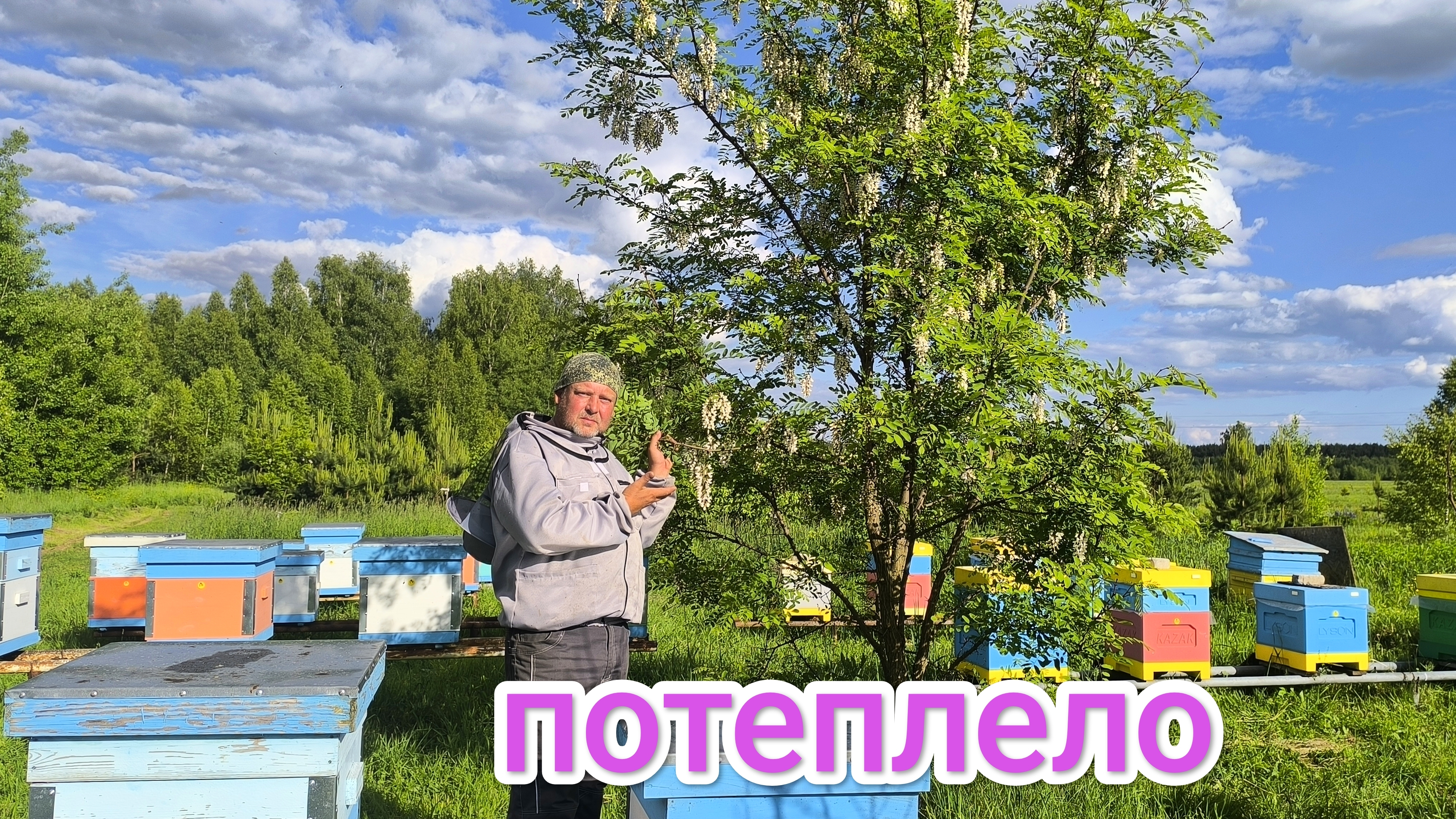 Проверка облёта маток в отводках на пасеке. Пчеловодство Владимирской области! смотреть онлайн