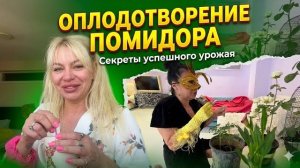 Марина Иванова-Искуственное Оплодотворение Помидора