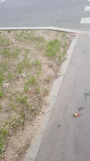 иду покупать и пробовать это самое 3D мороженое из фикс прайса