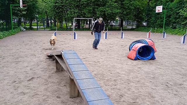 Вик, тренировка по адж, 31.05 - 1