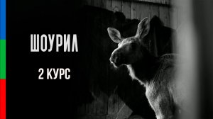ДО22 Кешикова Наталия Шоурил
