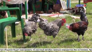 Выпуск от 02.06.2026