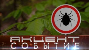 Когда стоит делать прививки от клещевого энцефалита