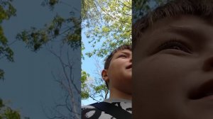 1000008737.mp4