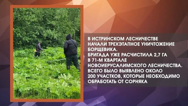 Дайджестдня 3 июня 2026 года смотреть онлайн