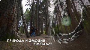 Природа и эмоции в металле