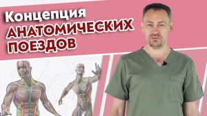 Самая важная книга для массажиста! Томас Майерс Анатомические поезда