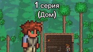 1 серия (Дом) Террария