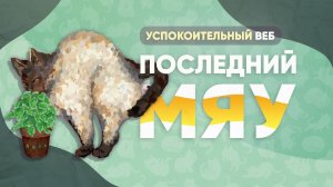 Последний мяу: финальный курс. ЕГЭ 2026: русский язык. УСПОКОИТЕЛЬНЫЙ ВЕБ [ЗАПИСЬ БУДЕТ]