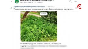 Опасные деревья