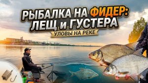 Рыбалка на фидер на леща и густеру на большой реке