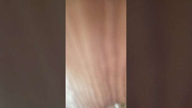 моя дача смотреть онлайн