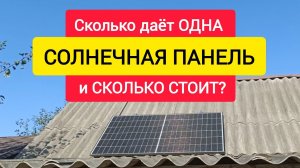 Сколько даёт ОДНА СОЛНЕЧНАЯ ПАНЕЛЬ и СКОЛЬКО стоит?